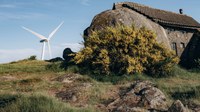 Latest EEA study finds multiple benefits of switch to renewable electricity 