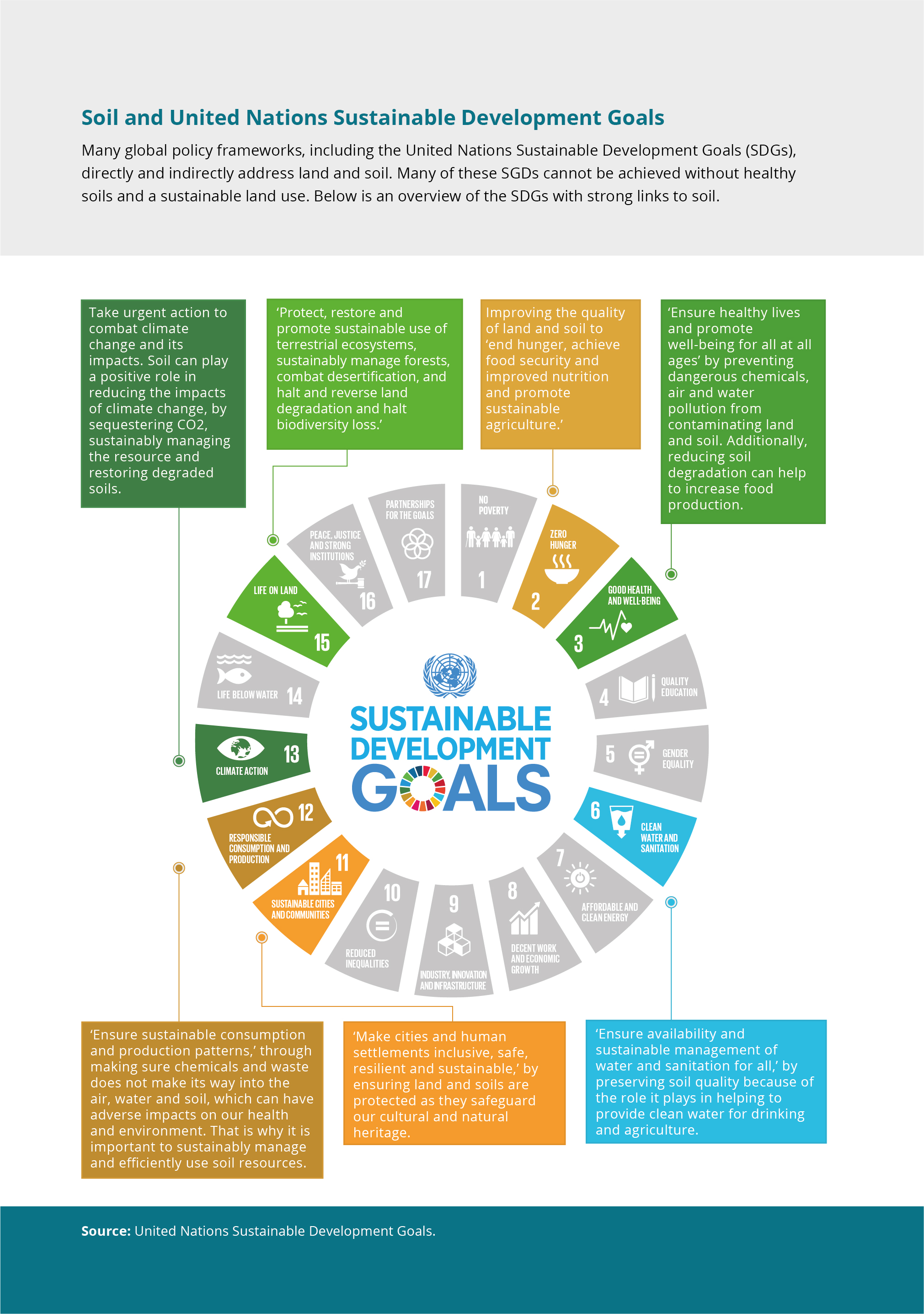 Many global policy frameworks, including the United Nations Sustainable Development Goals (SDGs),directly and indirectly address land and soil. Many of these SGDs cannot be achieved without healthysoils and a sustainable land use. Below is an overview of the SDGs with strong links to soil.