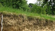 Krčenje zemljišč in tal zaradi človeških dejavnosti