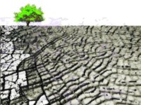 Om brunnen sinar - Anpassning till klimatets förändring och tillgång till vatten